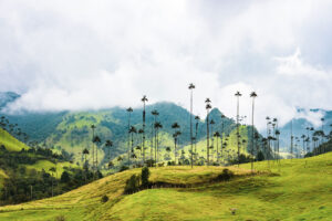 valle de cocora