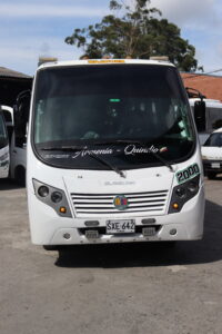 frontal