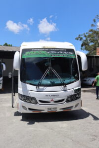 frontal