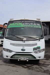 frontal